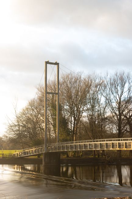 A long wooden footbridge with white lattice-style side railings spans over a narrow river in a park setting. The bridge is supported by vertical and diagonal tension cables attached to wooden support pillars at either end. Behind the bridge, there are lush green trees, including a weeping willow with drooping branches on the left and a tree with red and orange autumn foliage in the background. The sky is partly cloudy with diffused lighting. This scene depicts a peaceful outdoor environment suitable for outdoor activities or leisurely walks. In the context of house removals, the image represents the importance of planning for access routes and parking suspensions, as managed by local councils, to ensure smooth furniture transport and home relocation processes. Man with Van Lea Bridge may consider such factors when coordinating parking and loading logistics for customer relocations, especially near scenic or residential areas.