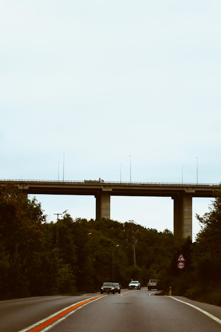 A view of a two-lane road leading towards a large concrete bridge or viaduct spanning across the image, supported by multiple tall pillars. The road is lined with dense green trees on both sides, and a few cars are traveling away from the camera, some parked along the verge. The sky is clear with a light blue tone. In the foreground, the road features orange and white roadside markings, and a small traffic sign is visible on the right side. The scene depicts an outdoor setting suitable for a house or office relocation vehicle route, with the bridge and surrounding foliage providing a natural yet structured environment. This image aligns with the planning or logistical aspects of furniture transport and home relocation services offered by Man with Van Lea Bridge, captured as part of a loading process or moving logistics during a same-day move.